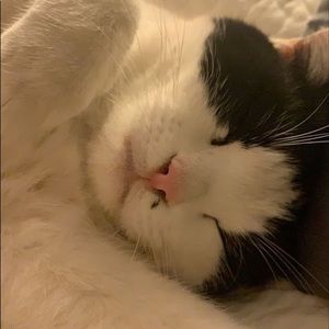 Meet your Posher, Melanie